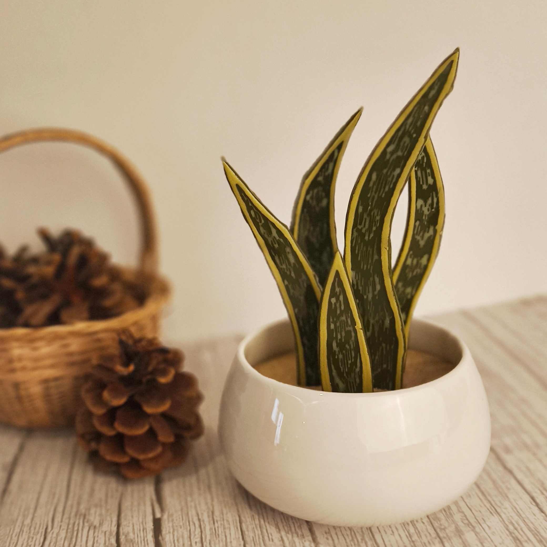 Terra Vitrae - Créations en vitrail et verre fondu, inspirées de la nature et la montagne