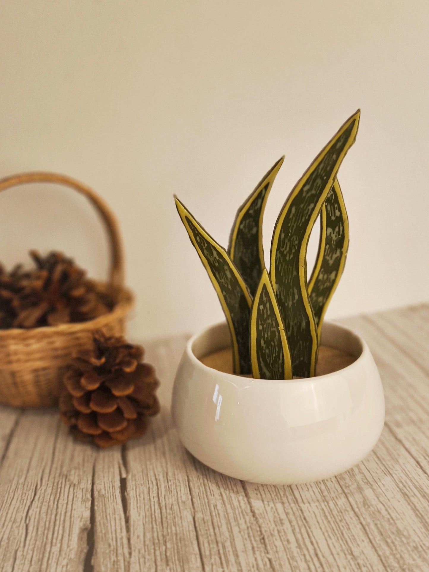 Terra Vitrae - Créations en vitrail et verre fondu, inspirées de la nature et la montagne